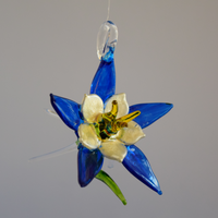 Large Columbines - 5 Colors