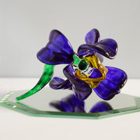Sitting Iris