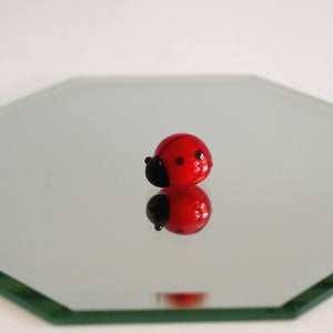 Teeny Ladybug