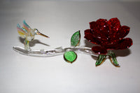 Summer Sparkle Rose