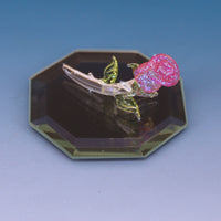 Miniature Rose