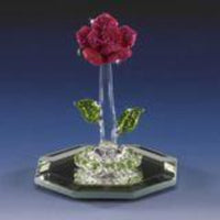 Miniature Red Friendship Flower